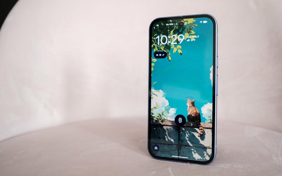 كما كان من قبل، يحتوي هاتف Pixel 10a على شاشة P-OLED مقاس 6.3 بوصة وبتردد 120 هرتز. 